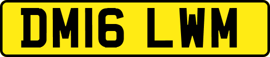 DM16LWM