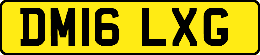 DM16LXG
