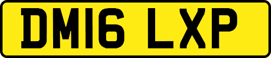 DM16LXP