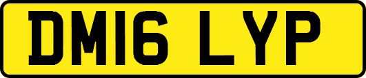 DM16LYP