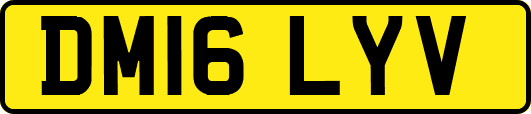 DM16LYV