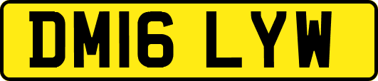 DM16LYW