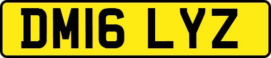 DM16LYZ