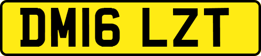 DM16LZT