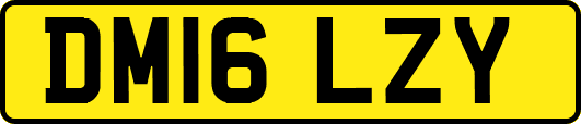 DM16LZY
