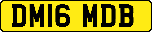 DM16MDB
