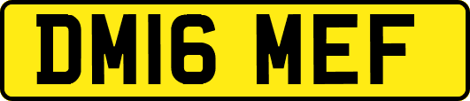 DM16MEF