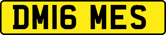 DM16MES