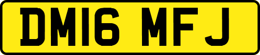 DM16MFJ