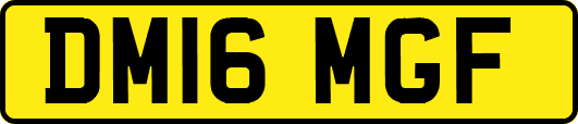 DM16MGF