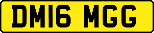DM16MGG