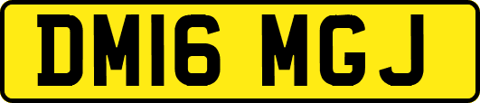 DM16MGJ