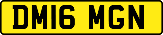 DM16MGN