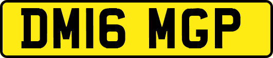 DM16MGP