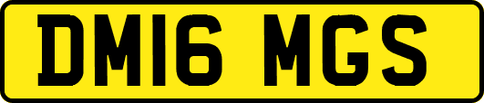 DM16MGS