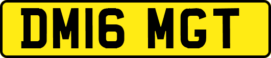 DM16MGT