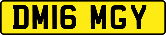 DM16MGY