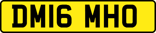 DM16MHO