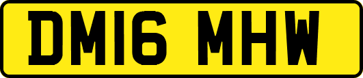 DM16MHW