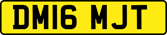 DM16MJT