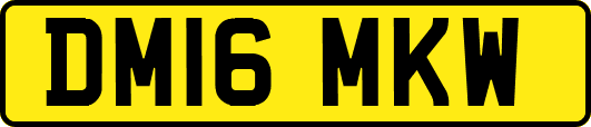 DM16MKW