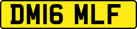 DM16MLF