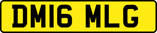DM16MLG