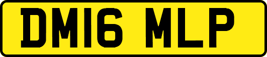 DM16MLP