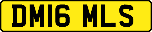 DM16MLS