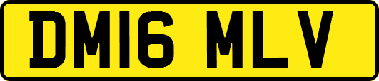 DM16MLV
