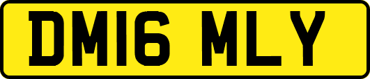 DM16MLY