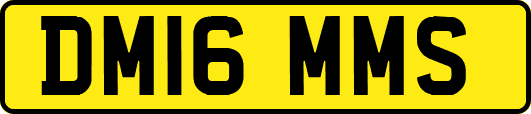 DM16MMS