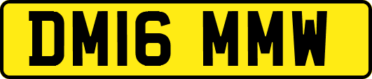 DM16MMW