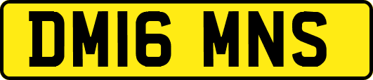 DM16MNS