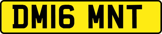 DM16MNT