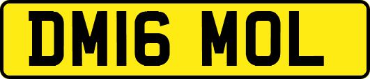 DM16MOL