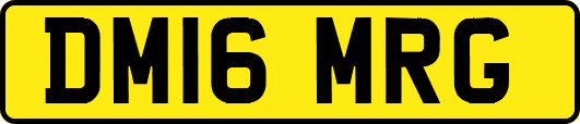 DM16MRG