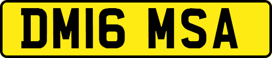 DM16MSA