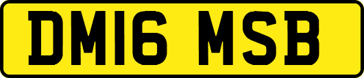 DM16MSB