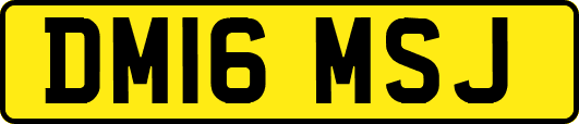 DM16MSJ