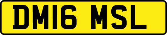 DM16MSL
