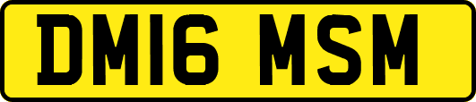 DM16MSM