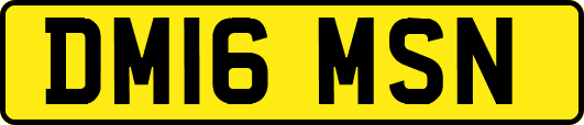 DM16MSN