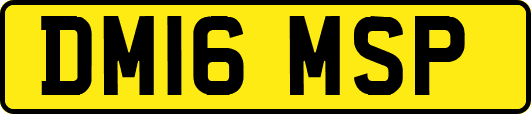 DM16MSP