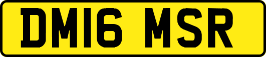 DM16MSR