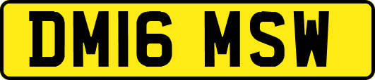 DM16MSW