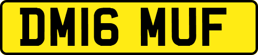 DM16MUF