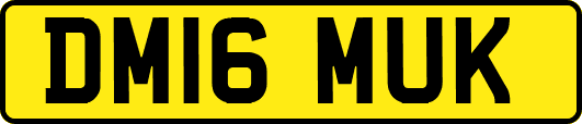 DM16MUK