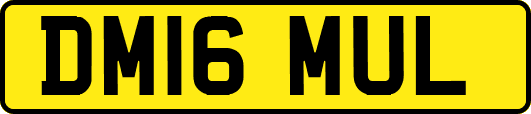 DM16MUL