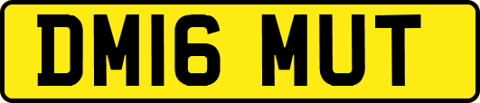 DM16MUT
